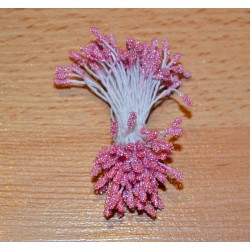Тычинки для создания цветов из сахарной пасты, мастики и марципана